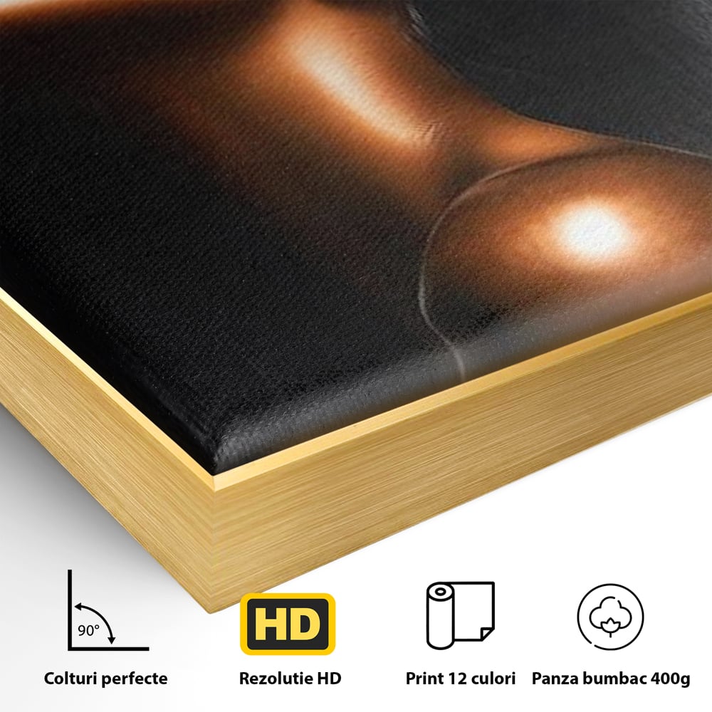 Detaliu al suprafetei: tablou canvas cu portretul unei femei, in rama de aluminiu auriu
